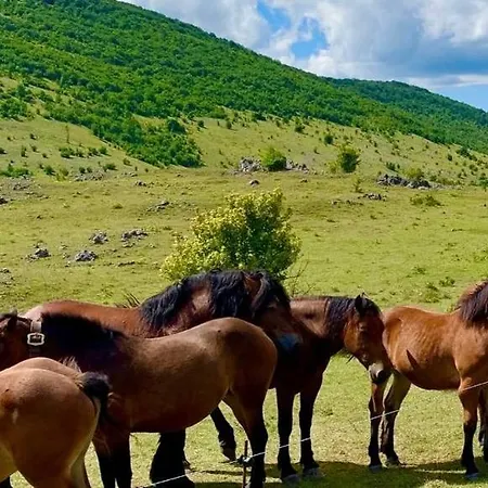 Hébergement de vacances Lika Mountain *